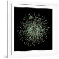 Yeast Protein Interaction Map-Hawoong Jeong-Framed Photographic Print