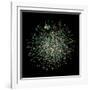 Yeast Protein Interaction Map-Hawoong Jeong-Framed Photographic Print