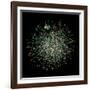 Yeast Protein Interaction Map-Hawoong Jeong-Framed Photographic Print