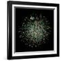 Yeast Protein Interaction Map-Hawoong Jeong-Framed Photographic Print