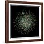 Yeast Protein Interaction Map-Hawoong Jeong-Framed Photographic Print