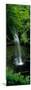 Yeats Waterfall Glencar Co Sligoeire Ireland-null-Mounted Premium Photographic Print