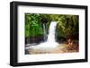 Yeh Hoo Waterfall, Ubud, Bali, Indonesia.-Greg Johnston-Framed Photographic Print