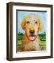 Yeller-null-Framed Art Print