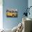 Yellow Ambassador Taxi, Calcutta, Kolkata, West Bengal, India-Jane Sweeney-Stretched Canvas displayed on a wall