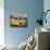 Yellow Ambassador Taxi, Calcutta, Kolkata, West Bengal, India-Jane Sweeney-Photographic Print displayed on a wall