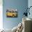 Yellow Ambassador Taxi, Calcutta, Kolkata, West Bengal, India-Jane Sweeney-Mounted Photographic Print displayed on a wall