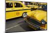 Yellow Ambassador Taxis, Kolkata, West Bengal, India, Asia-Bruno Morandi-Mounted Photographic Print
