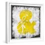 Yellow Ampersand-Jace Grey-Framed Art Print