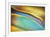 Yellow and Aqua Blue Flow-Cora Niele-Framed Photographic Print