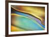 Yellow and Aqua Blue Flow-Cora Niele-Framed Photographic Print