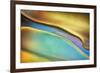 Yellow and Aqua Blue Flow-Cora Niele-Framed Photographic Print