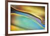 Yellow and Aqua Blue Flow-Cora Niele-Framed Photographic Print