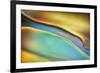 Yellow and Aqua Blue Flow-Cora Niele-Framed Photographic Print