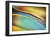 Yellow and Aqua Blue Flow-Cora Niele-Framed Photographic Print