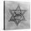 Yellow and Black Star Which the Jews Were Required to Wear in Occupied Holland During World War 2-null-Stretched Canvas