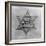 Yellow and Black Star Which the Jews Were Required to Wear in Occupied Holland During World War 2-null-Framed Photo