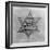 Yellow and Black Star Which the Jews Were Required to Wear in Occupied Holland During World War 2-null-Framed Photo