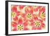 Yellow and Coral Red Tulips-Cora Niele-Framed Photographic Print