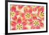 Yellow and Coral Red Tulips-Cora Niele-Framed Photographic Print