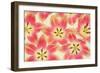 Yellow and Coral Red Tulips-Cora Niele-Framed Photographic Print