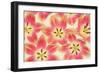 Yellow and Coral Red Tulips-Cora Niele-Framed Photographic Print