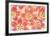 Yellow and Coral Red Tulips-Cora Niele-Framed Photographic Print