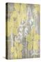 Yellow and Gray I-Jennifer Goldberger-Stretched Canvas