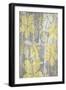 Yellow and Gray II-Jennifer Goldberger-Framed Art Print