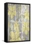 Yellow and Gray II-Jennifer Goldberger-Framed Stretched Canvas