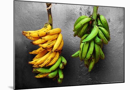 Yellow and Green Bananas-null-Mounted Poster