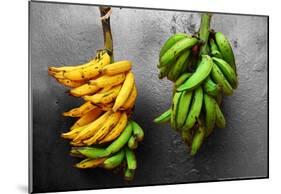 Yellow and Green Bananas-null-Mounted Poster