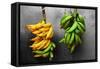 Yellow and Green Bananas-null-Framed Stretched Canvas