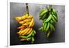 Yellow and Green Bananas-null-Framed Photo