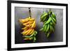 Yellow and Green Bananas-null-Framed Photo