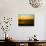 Yellow and Orage-Josh Adamski-Photographic Print displayed on a wall