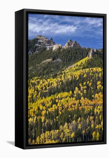 Yellow and Orange Aspens with Evergreens in the Fall-James Hager-Framed Stretched Canvas