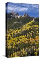 Yellow and Orange Aspens with Evergreens in the Fall-James Hager-Stretched Canvas