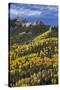 Yellow and Orange Aspens with Evergreens in the Fall-James Hager-Stretched Canvas