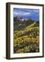 Yellow and Orange Aspens with Evergreens in the Fall-James Hager-Framed Photographic Print