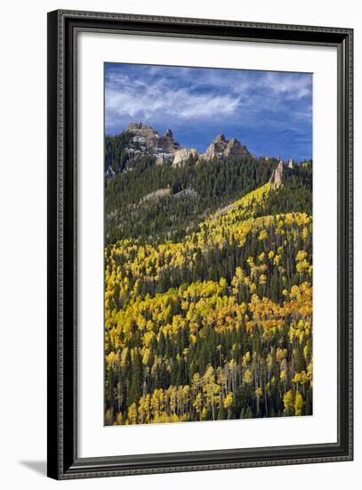 Yellow and Orange Aspens with Evergreens in the Fall-James Hager-Framed Photographic Print