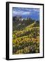 Yellow and Orange Aspens with Evergreens in the Fall-James Hager-Framed Photographic Print