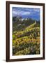 Yellow and Orange Aspens with Evergreens in the Fall-James Hager-Framed Photographic Print