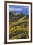 Yellow and Orange Aspens with Evergreens in the Fall-James Hager-Framed Photographic Print