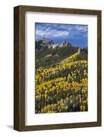 Yellow and Orange Aspens with Evergreens in the Fall-James Hager-Framed Photographic Print