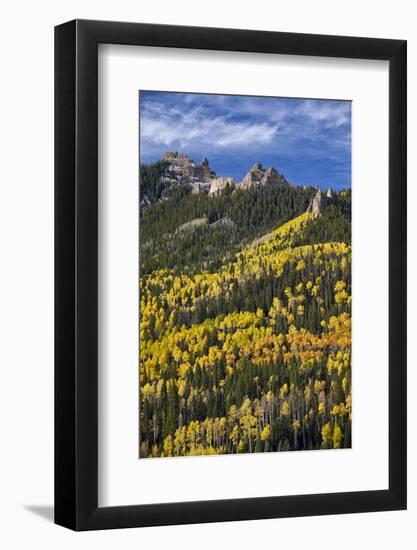 Yellow and Orange Aspens with Evergreens in the Fall-James Hager-Framed Photographic Print