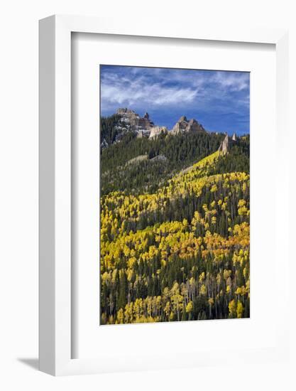 Yellow and Orange Aspens with Evergreens in the Fall-James Hager-Framed Photographic Print