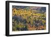 Yellow and Orange Hillside of Aspen in the Fall, Uncompahgre National Forest, Colorado, Usa-James Hager-Framed Photographic Print