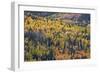 Yellow and Orange Hillside of Aspen in the Fall, Uncompahgre National Forest, Colorado, Usa-James Hager-Framed Photographic Print