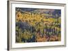 Yellow and Orange Hillside of Aspen in the Fall, Uncompahgre National Forest, Colorado, Usa-James Hager-Framed Photographic Print